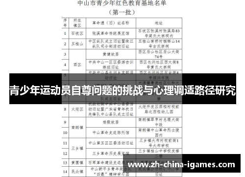 青少年运动员自尊问题的挑战与心理调适路径研究