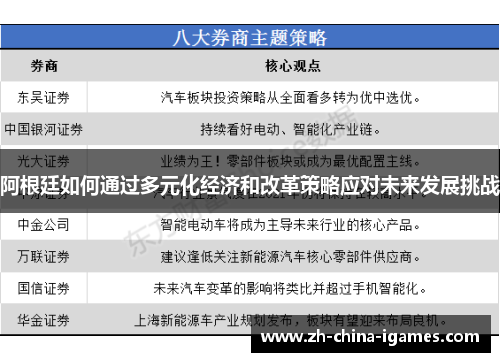 阿根廷如何通过多元化经济和改革策略应对未来发展挑战